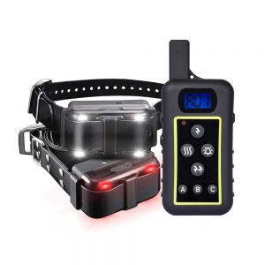 Dog Training Systems