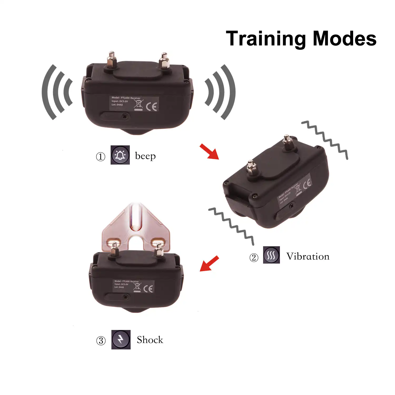 Dog Training System PTL 600 - Image 5