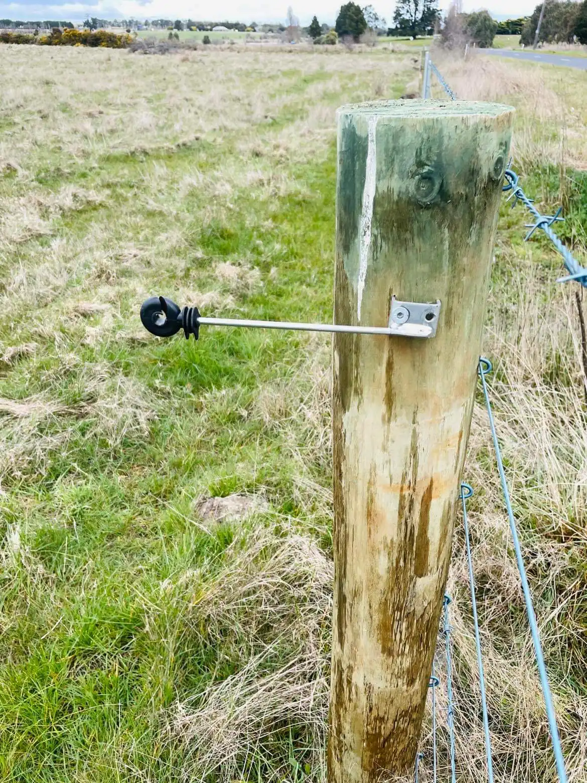 Star Picket Electric Fence Insulators 40pkt - Image 5